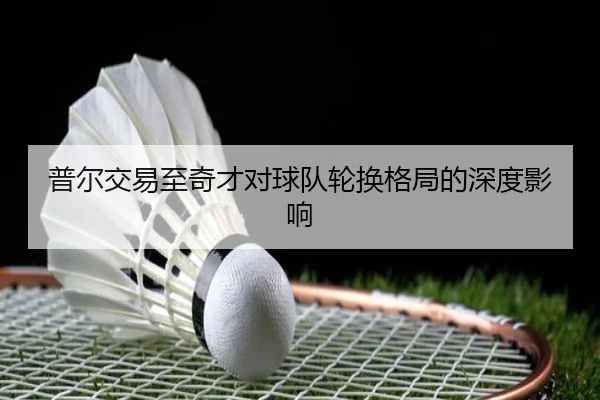 普尔交易至奇才对球队轮换格局的深度影响